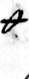 sign th