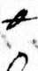 sign th
