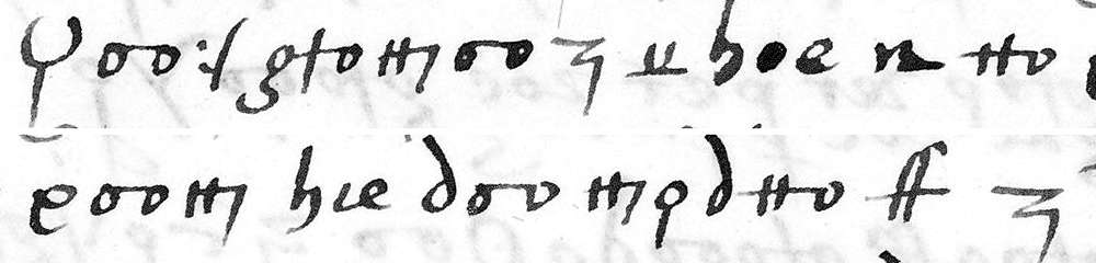 Cipher line: f. 118r, line 8, tokens 1 to 23: the face and the heart