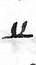 sign u_