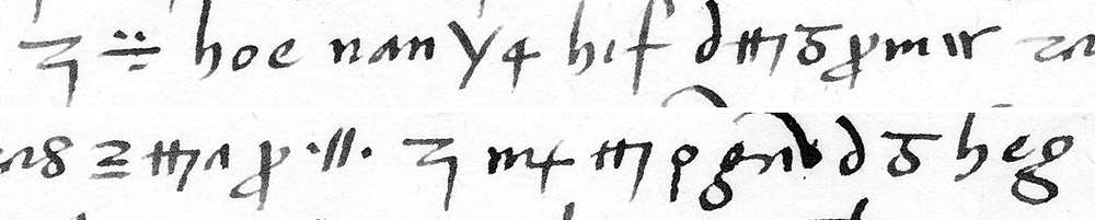 Cipher line: f. 118r, line 22: the brief of the Pope