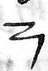sign Z